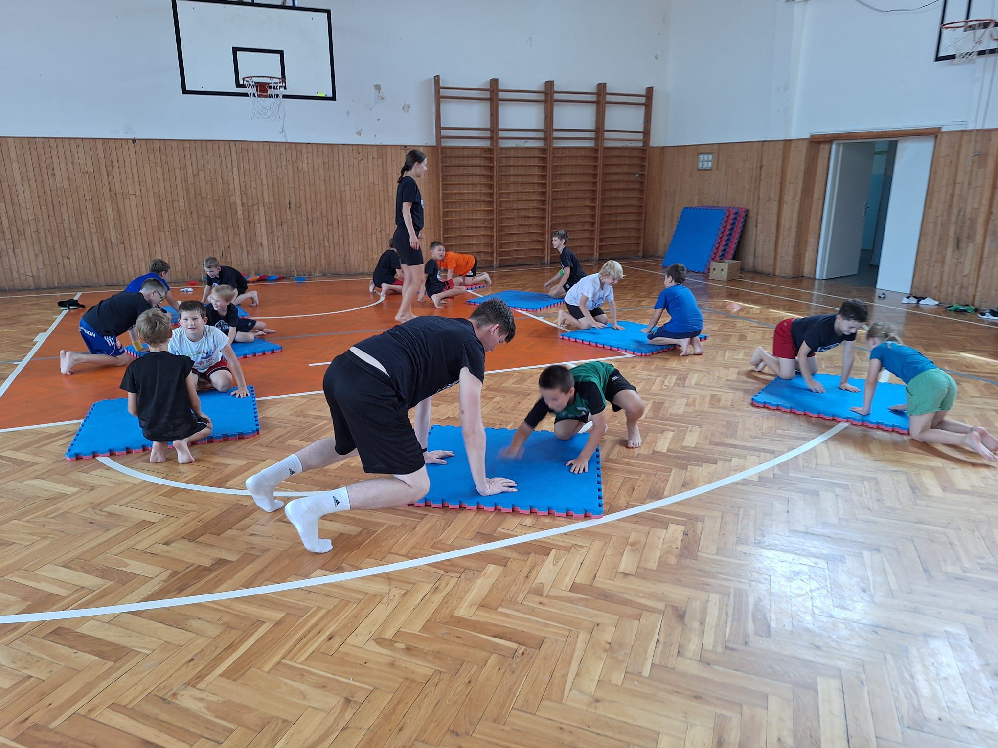 Obrázek WhatsApp, 2024-07-11 v 17.40.47_e7b3ef8d